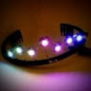 Meet your Posher, Annabelle